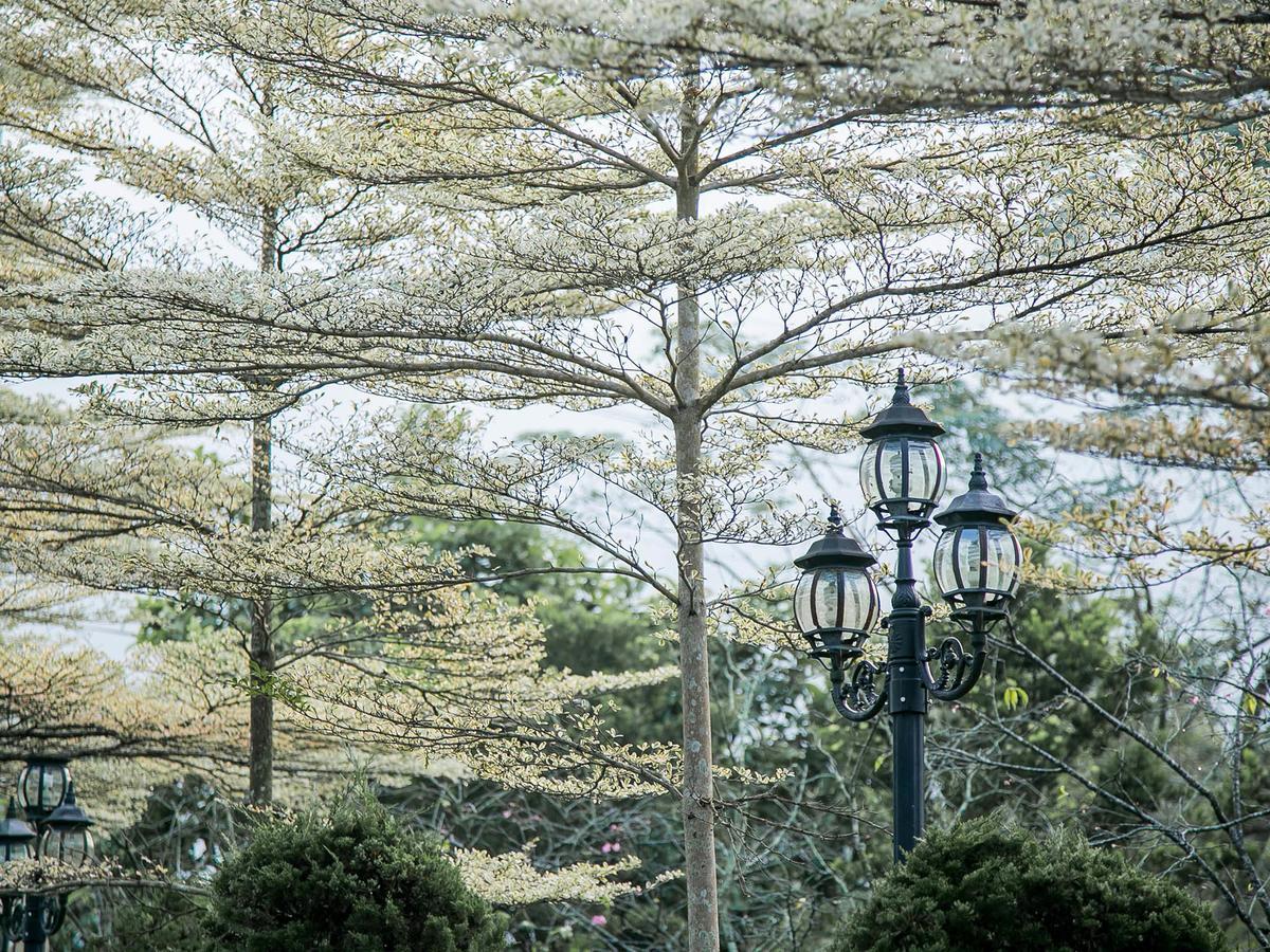 Flying Villa Nantou Extérieur photo